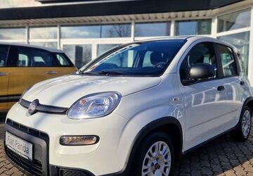 Fiat Panda 99 km 13.990 &euro; Wismar 23970
