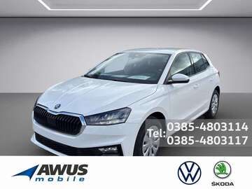 Gebrauchte Skoda Fabia