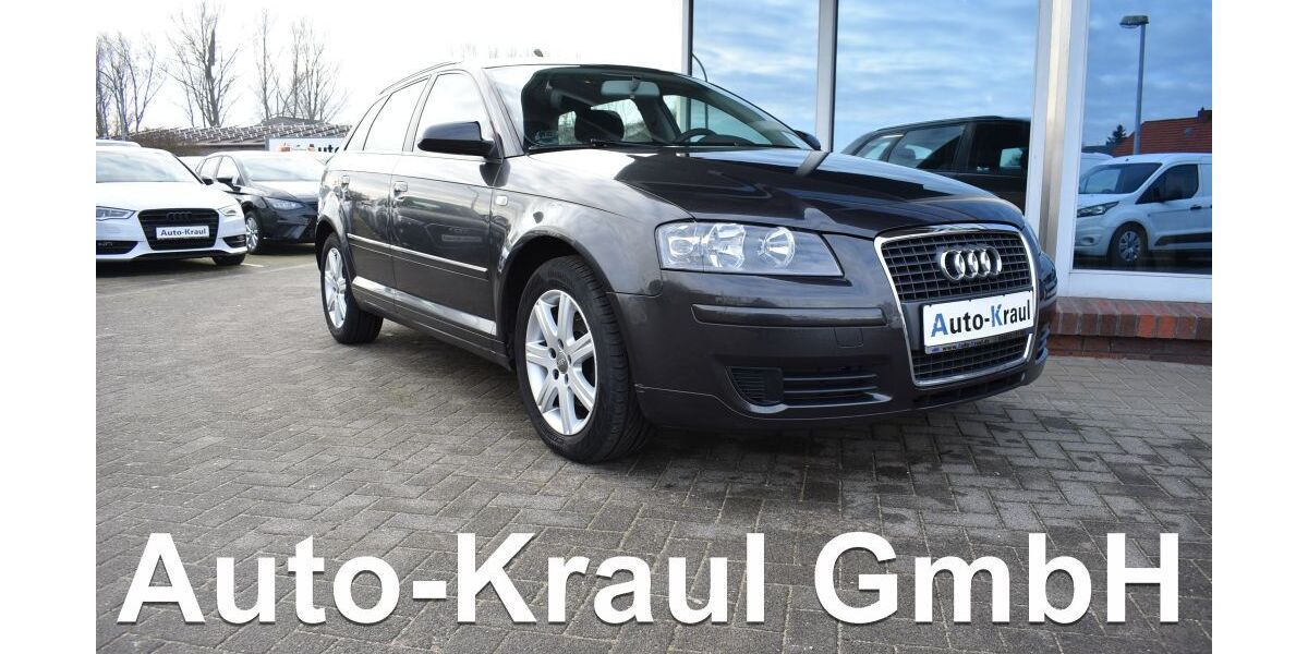 Audi A3 187.164 km 5.099 &euro; Rehna 19217