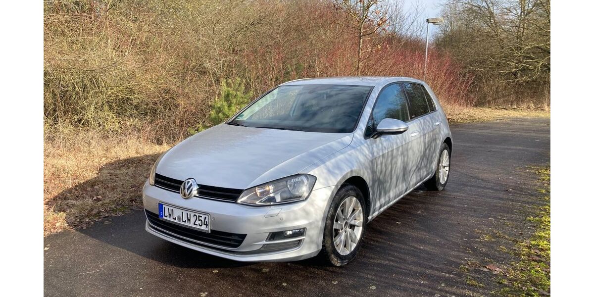VW Golf 197.000 km 8.250 &euro; Gustävel 19412