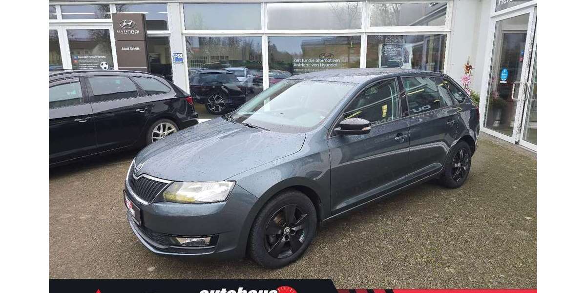 Skoda Rapid/Spaceback 102.315 km 9.480 &euro; Hagenow 19230