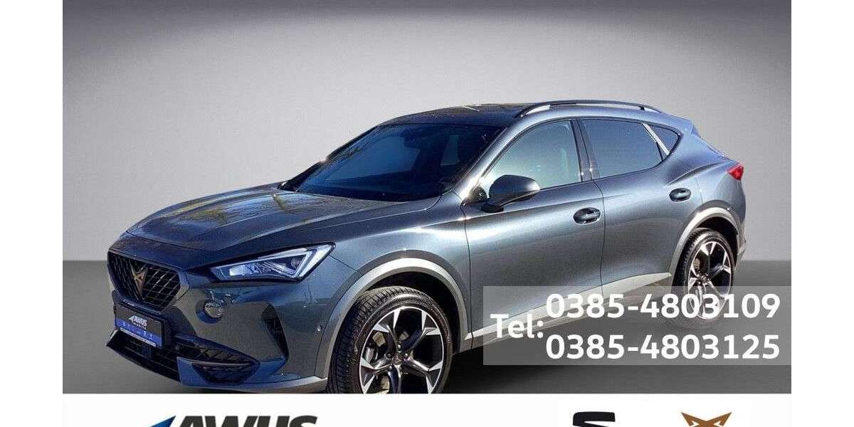 Cupra Formentor 40.200 km 25.990 &euro; Schwerin 19057