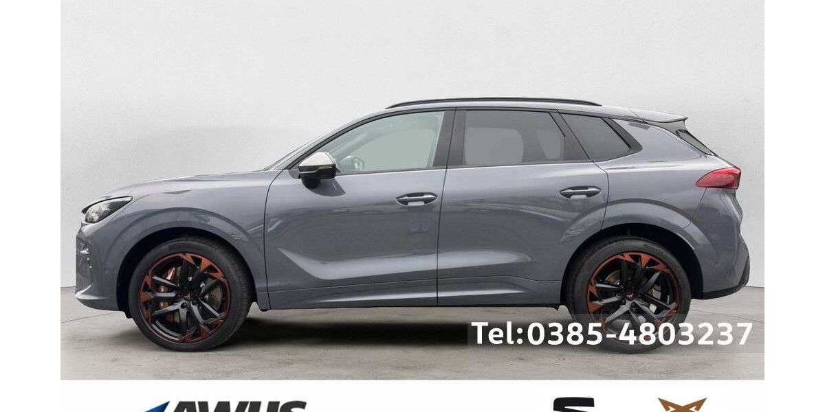 Cupra Terramar 4.000 km 54.890 &euro; Schwerin 19057