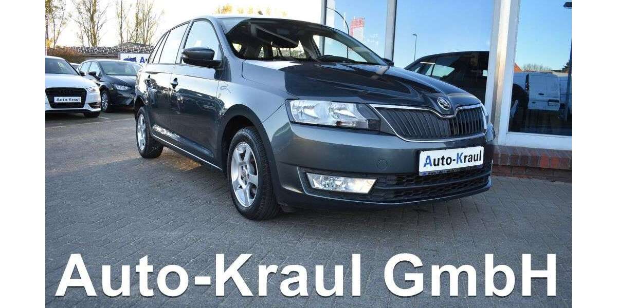 Skoda Rapid/Spaceback 164.070 km 7.749 &euro; Rehna 19217