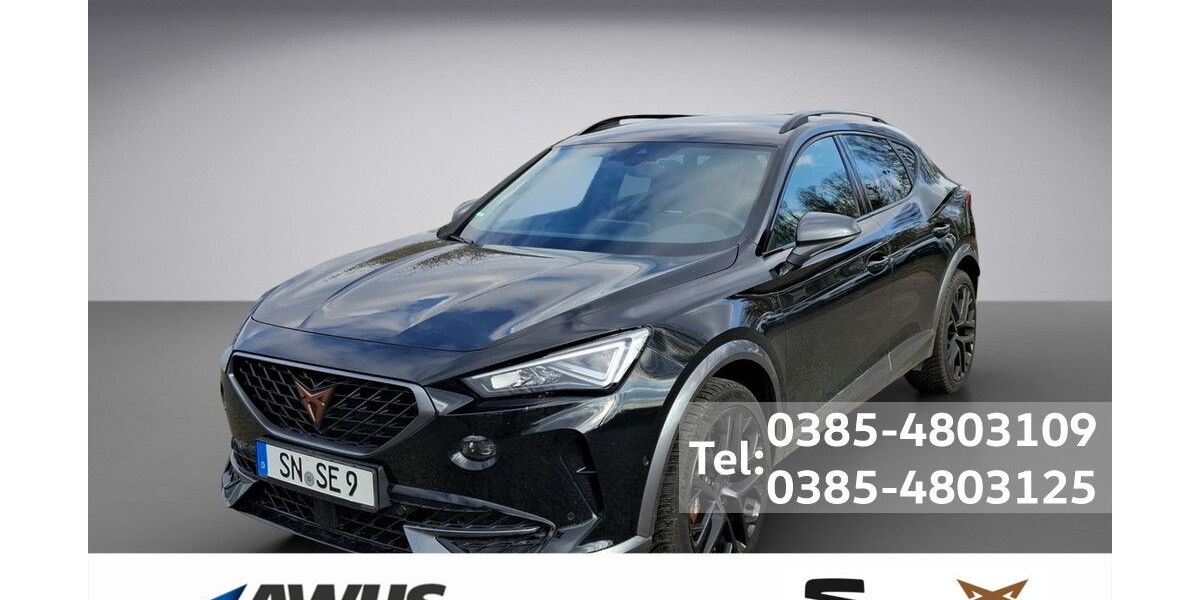 Cupra Formentor 29.990 km 34.990 &euro; Schwerin 19057